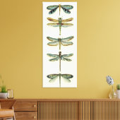 Dragonfly-Collectie door Chariklia Zarris Canvas Afdruk (Insitu (Woonkamer))