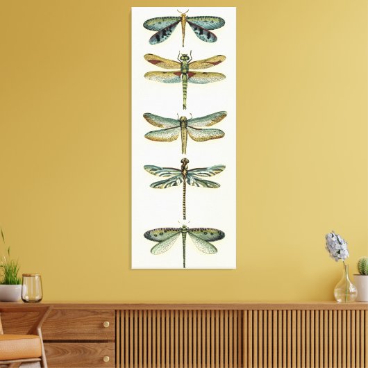 Dragonfly-Collectie door Chariklia Zarris Canvas Afdruk (Insitu (Woonkamer))