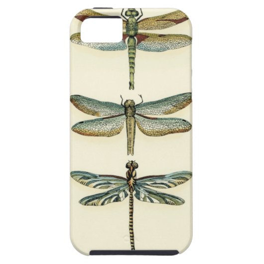 Dragonfly-Collectie door Chariklia Zarris Case-Mate iPhone Case (Achterkant)