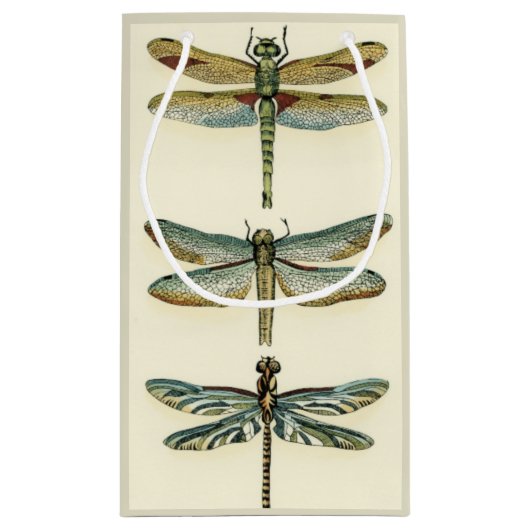 Dragonfly-Collectie door Chariklia Zarris Klein Cadeauzakje (Achterkant)