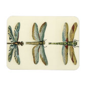 Dragonfly-Collectie door Chariklia Zarris Magneet (Horizontaal)