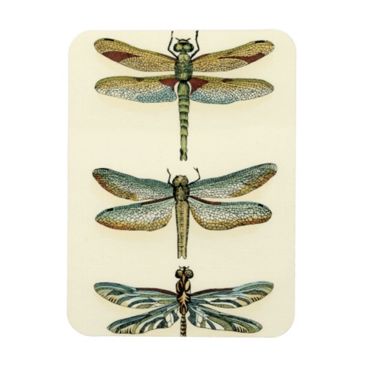 Dragonfly-Collectie door Chariklia Zarris Magneet (Verticaal)