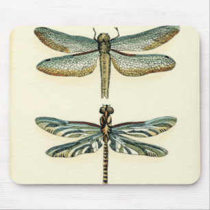 Dragonfly-Collectie door Chariklia Zarris Muismat