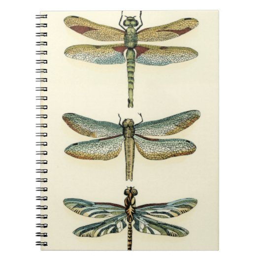 Dragonfly-Collectie door Chariklia Zarris Notitieboek (Voorkant)