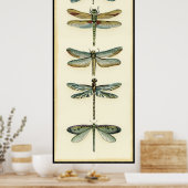 Dragonfly-Collectie door Chariklia Zarris Poster (Keuken)