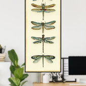 Dragonfly-Collectie door Chariklia Zarris Poster (Thuiskantoor)