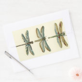 Dragonfly-Collectie door Chariklia Zarris Rechthoekige Sticker (Envelop)