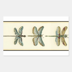 Dragonfly-Collectie door Chariklia Zarris Rechthoekige Sticker