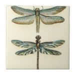 Dragonfly-Collectie door Chariklia Zarris Tegeltje<br><div class="desc">Een libellen collectie dat elke nieuwsgierige natuur boei waard is,  dit is een verbluffend stuk van Chariklia Zarris. Doe het op je muur of geef het als cadeau!</div>