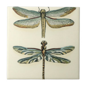 Dragonfly-Collectie door Chariklia Zarris Tegeltje
