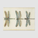 Dragonfly-Collectie door Chariklia Zarris Tissuepapier<br><div class="desc">Een libellen collectie dat elke nieuwsgierige natuur boei waard is,  dit is een verbluffend stuk van Chariklia Zarris. Doe het op je muur of geef het als cadeau!</div>