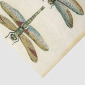 Dragonfly-Collectie door Chariklia Zarris Tissuepapier (Detail)