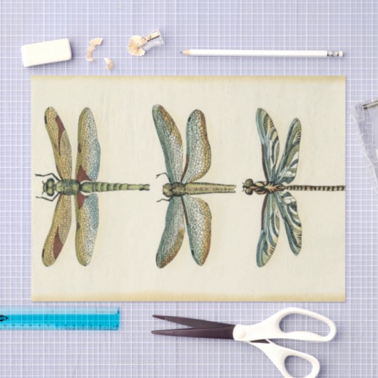 Dragonfly-Collectie door Chariklia Zarris Tissuepapier (Craft)