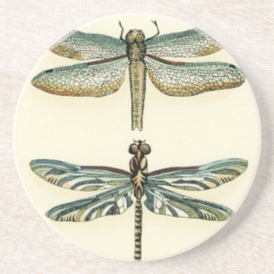 Dragonfly-Collectie door Chariklia Zarris Zandsteen Onderzetter