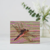 Dragonfly Colorful Briefkaart (Staand voorkant)