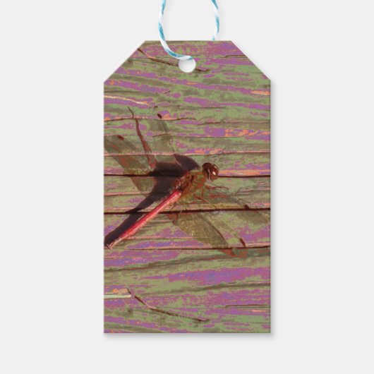 Dragonfly Colorful Gift Labels Cadeaulabel (Voorkant)