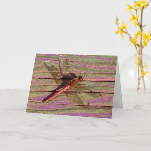 Dragonfly Colorful Kaart (Gele Bloem)