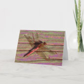 Dragonfly Colorful Kaart (Voorkant)