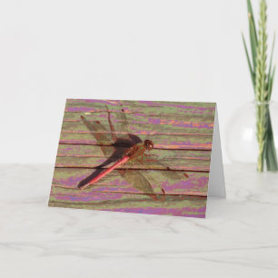 Dragonfly Colorful Kaart