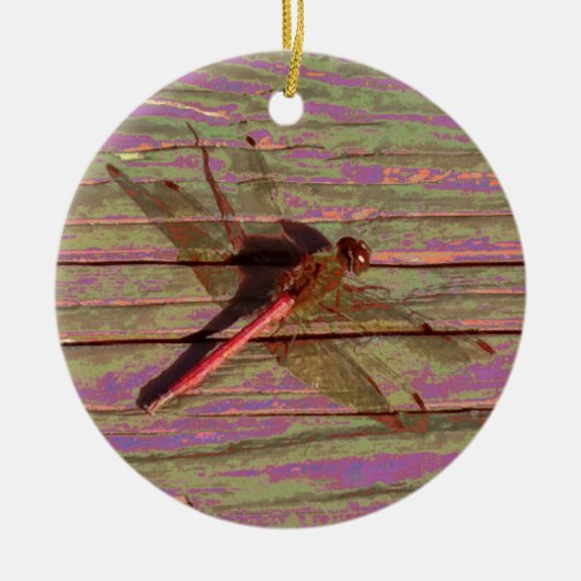 Dragonfly Colorful Keramisch Ornament (Voorkant)