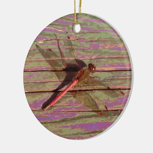Dragonfly Colorful Keramisch Ornament (Links)