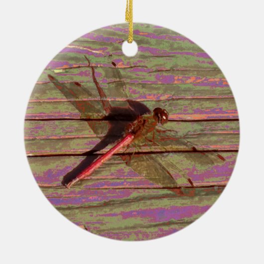 Dragonfly Colorful Keramisch Ornament (Achterkant)