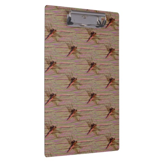 Dragonfly Colorful Klembord (Rechts)