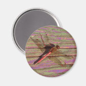 Dragonfly Colorful Magneet (Voorkant / Achterkant)