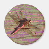 Dragonfly Colorful Magneet (Voorkant)