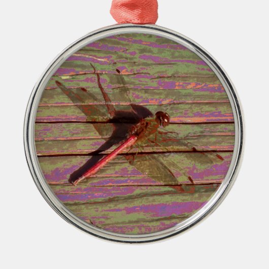 Dragonfly Colorful Metalen Ornament (Voorkant)