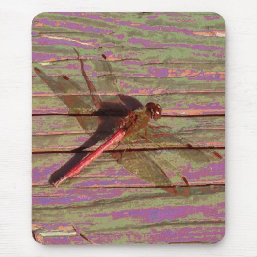 Dragonfly Colorful Muismat (Voorkant)