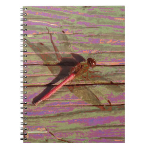 Dragonfly Colorful Notitieboek