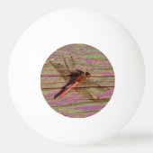 Dragonfly Colorful Pingpongbal (Voorkant)