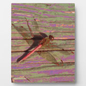 Dragonfly Colorful Plaque Fotoplaat (Voorkant)