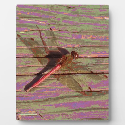 Dragonfly Colorful Plaque Fotoplaat (Voorkant)