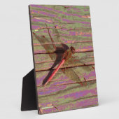 Dragonfly Colorful Plaque Fotoplaat (Zijkant)