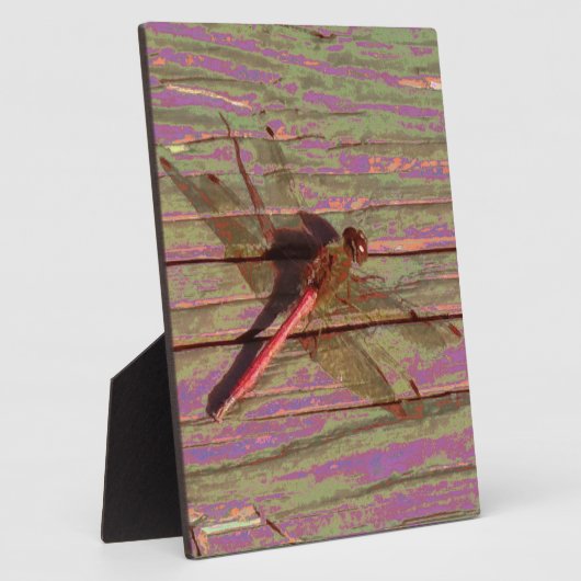 Dragonfly Colorful Plaque Fotoplaat (Zijkant)