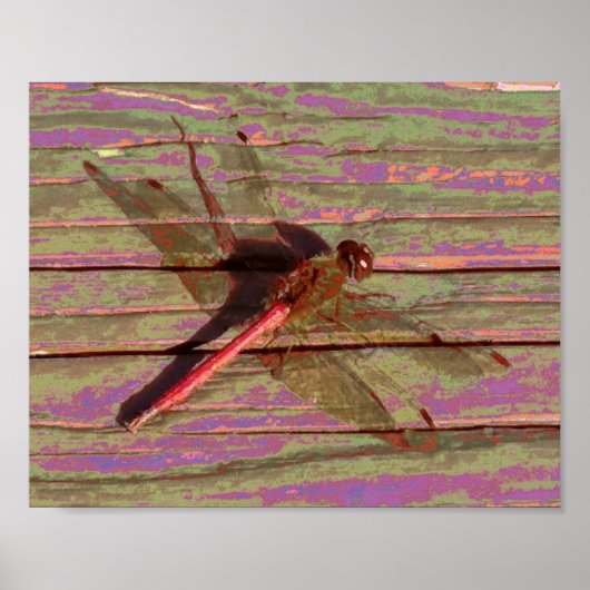 Dragonfly Colorful Poster (Voorkant)