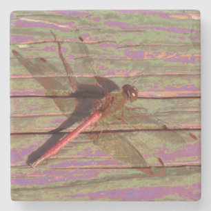 Dragonfly Colorful Stenen Onderzetter