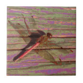 Dragonfly Colorful Tegeltje (Voorkant)