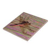 Dragonfly Colorful Tegeltje (Zijkant)