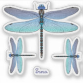 Dragonfly Contour Vinyl Sticker Labels (Voorkant)
