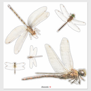 Dragonfly Custom-Cut Vinyl Sticker