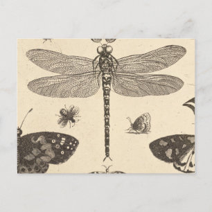 Dragonfly ( detail )  Art natuur Briefkaart