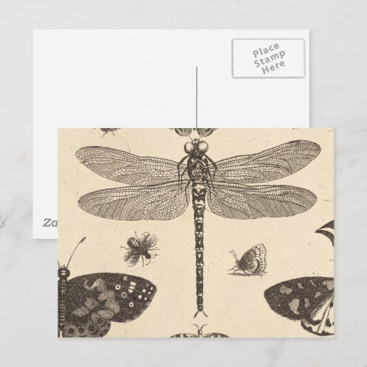 Dragonfly ( detail ) kunst briefkaart (Voorkant / Achterkant)