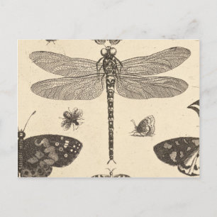 Dragonfly ( detail ) kunst briefkaart