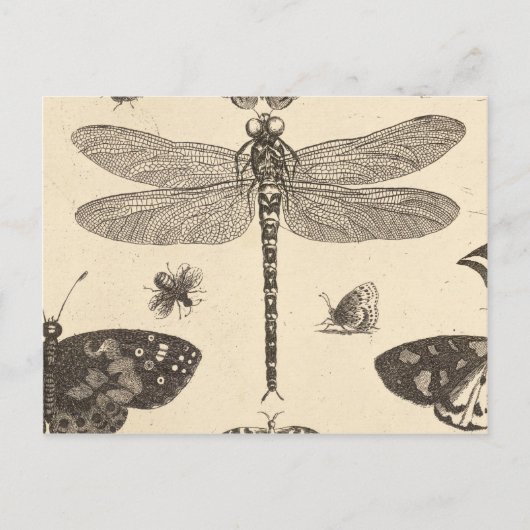 Dragonfly ( detail )  kunst briefkaart (Voorkant)