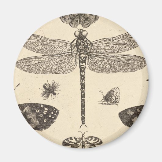 Dragonfly ( detail ) kunst magneet (Voorkant)