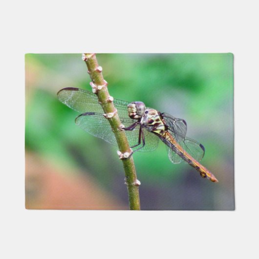 Dragonfly Doormat Deurmat (Voorkant)