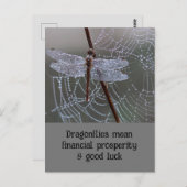Dragonfly Dragonflies Betekenis Kaart (Voorkant / Achterkant)